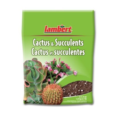Accessoires - Terreau pour plante (cactus et succulentes)  